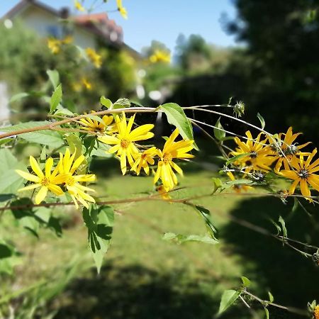 Fewo Happy Place In Traumhafter Lage See Nah Utting am Ammersee Exteriér fotografie