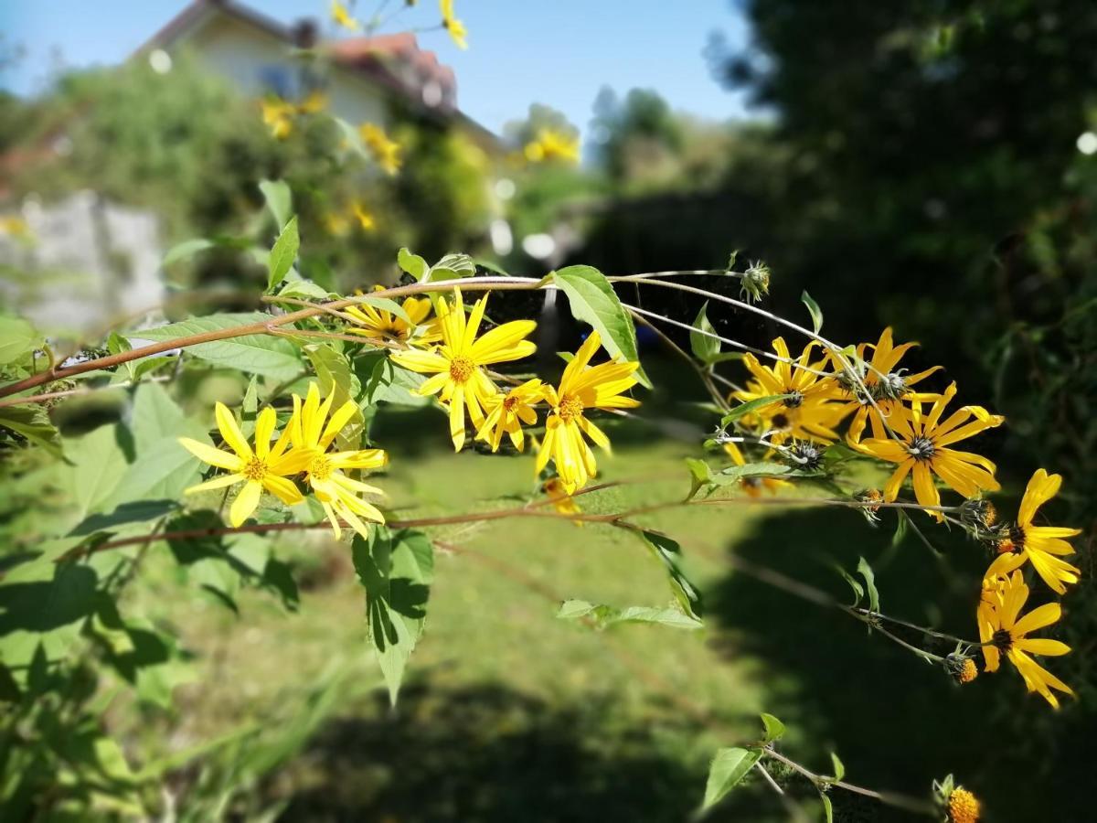 Fewo Happy Place In Traumhafter Lage See Nah Utting am Ammersee Exteriér fotografie