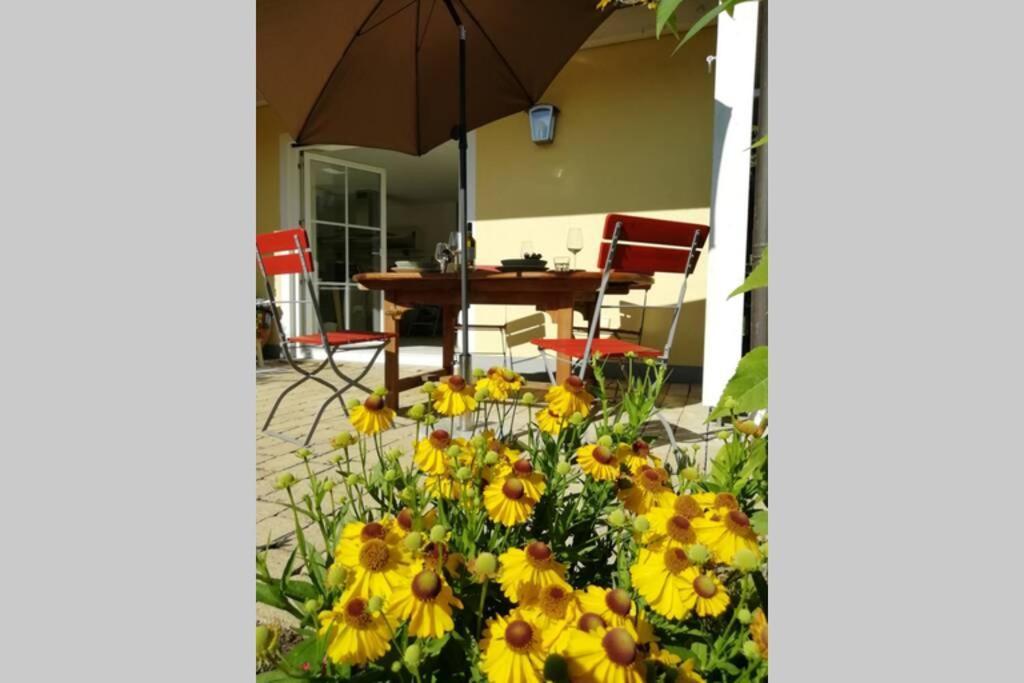Fewo Happy Place In Traumhafter Lage See Nah Utting am Ammersee Exteriér fotografie